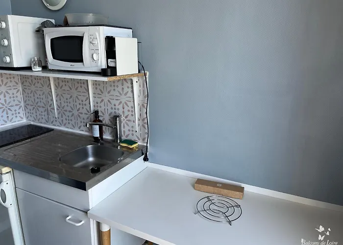 Апартаменты Balcony De Loire *